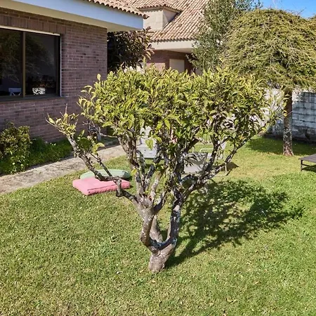 Nyaraló 5 Reyes O Grove